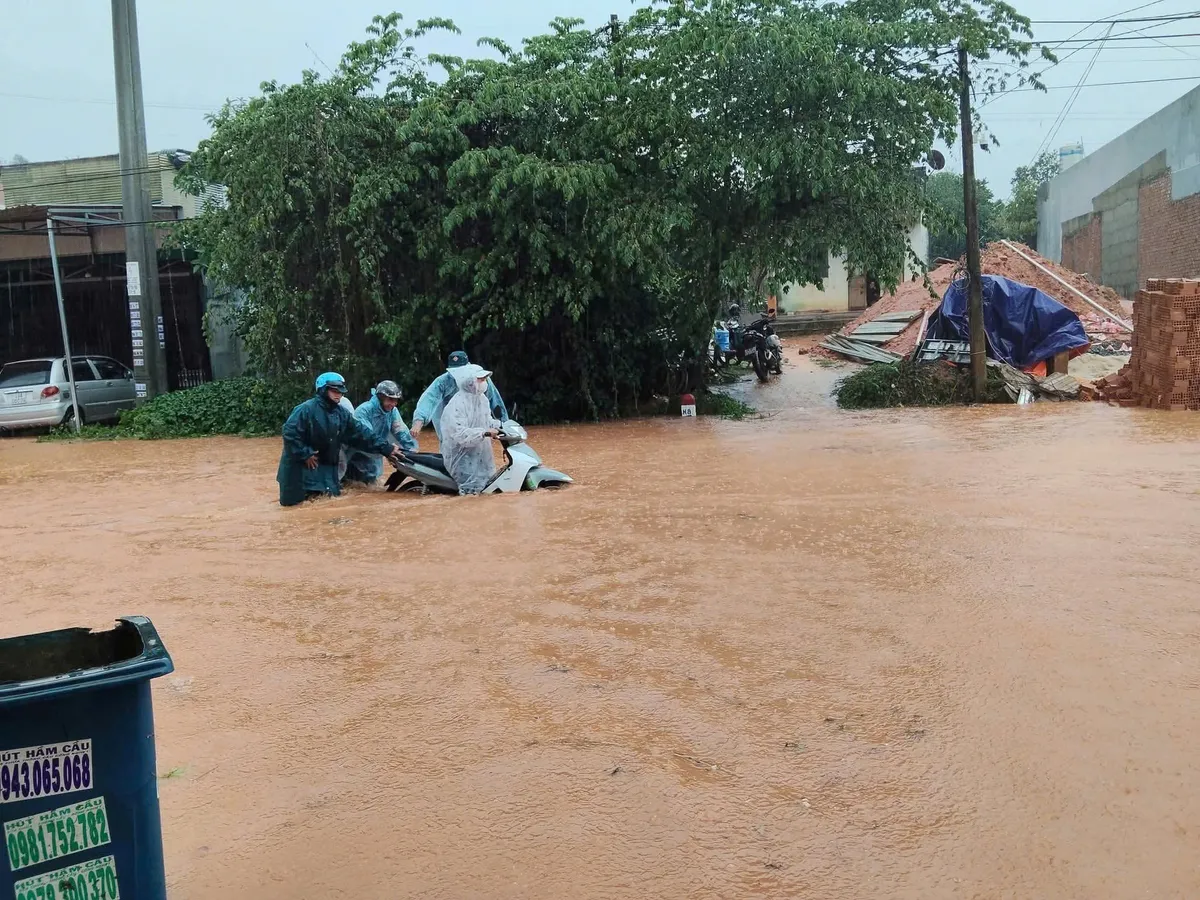 Mưa lớn tr&aacute;i m&ugrave;a khiến Quốc lộ 55 ở L&acirc;m Đồng ngập s&acirc;u - Ảnh 1.