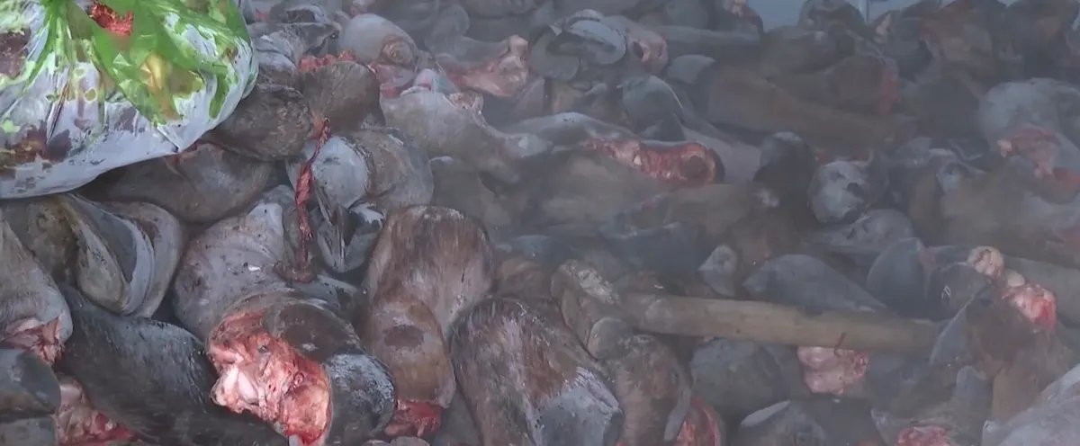 Đấu tranh, ngăn chặn thực phẩm bẩn, kh&ocirc;ng r&otilde; nguồn gốc- Ảnh 1.