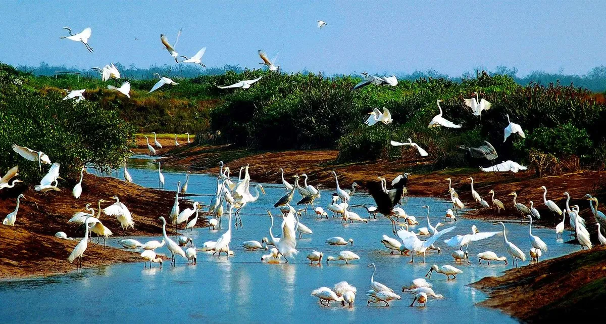 Đầu tư hơn 464 tỷ đồng ph&aacute;t triển du lịch sinh th&aacute;i tại Vườn quốc gia Xu&acirc;n Thủy- Ảnh 1.