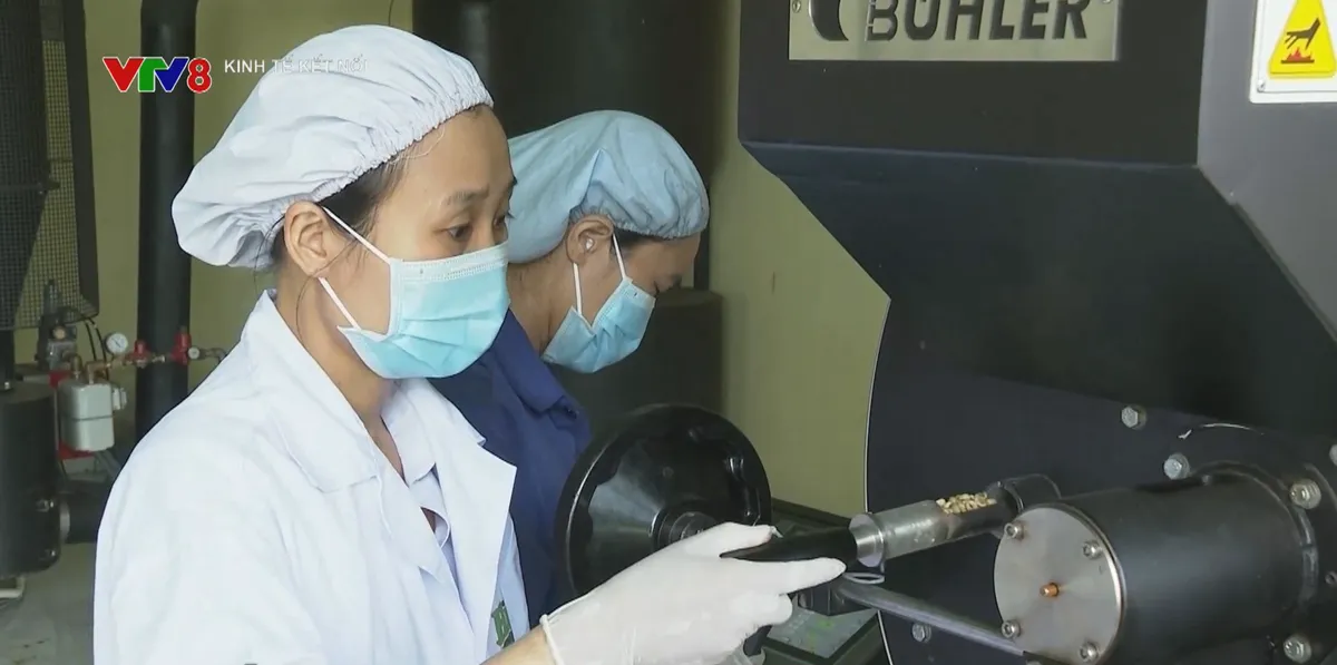 Tỉnh Đắk Lắk cải thiện môi trường đầu tư, hỗ trợ doanh nghiệp phát triển- Ảnh 1. Tỉnh Đắk Lắk cải thiện môi trường đầu tư, hỗ trợ doanh nghiệp phát triển- Ảnh 1.