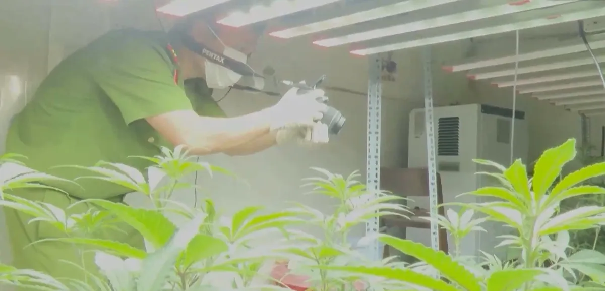 Đà Nẵng: Vững vàng trên trận tuyến, không khoan nhượng với tội phạm ma túy- Ảnh 3. Đà Nẵng: Vững vàng trên trận tuyến, không khoan nhượng với tội phạm ma túy- Ảnh 3.