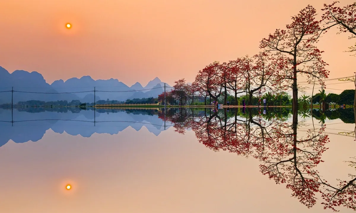 H&agrave;ng hoa gạo cổ thụ b&ecirc;n s&ocirc;ng Đ&aacute;y nhuộm đỏ l&agrave;ng qu&ecirc; Đoan Nữ- Ảnh 1.