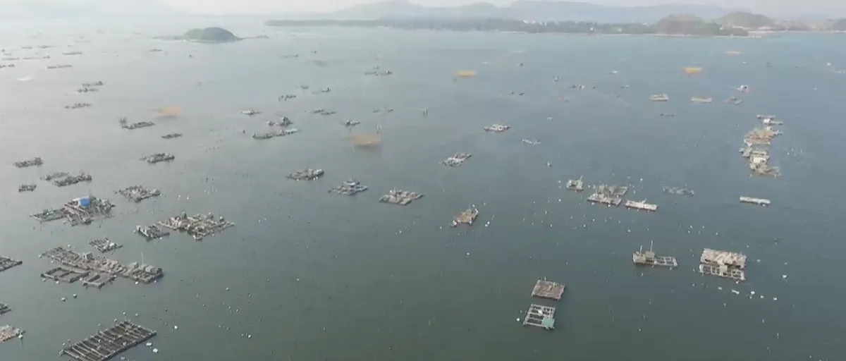 Giải b&agrave;i to&aacute;n &ldquo;h&ecirc;n xui&rdquo; cho ng&agrave;nh t&ocirc;m h&ugrave;m: Từ chuỗi li&ecirc;n kết đến xuất khẩu ch&iacute;nh ngạch- Ảnh 2.