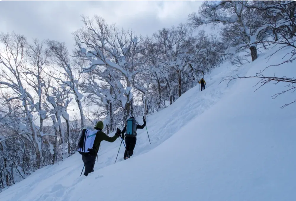 Hakuba &ndash; &ldquo;thi&ecirc;n đường trượt tuyết&rdquo; Nhật Bản h&uacute;t kh&aacute;ch nhưng đối mặt &aacute;p lực qu&aacute; tải- Ảnh 1.