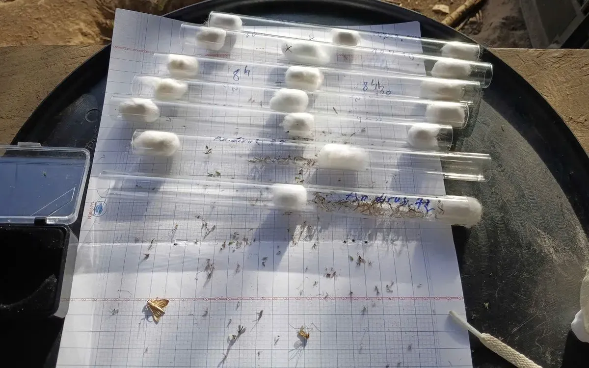 L&acirc;m Đồng ghi nhận ca sốt r&eacute;t ngoại lai, khẩn trương triển khai ph&ograve;ng chống- Ảnh 1.