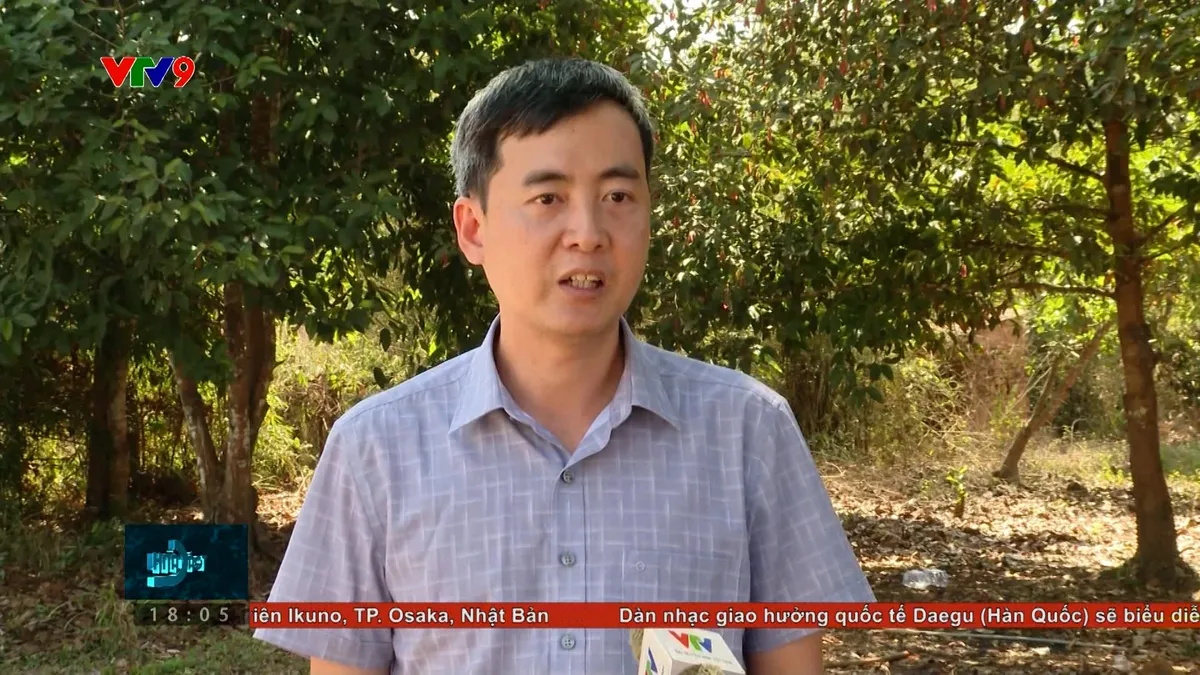 tc24h-1703-1 lê cẩm tú.jpg