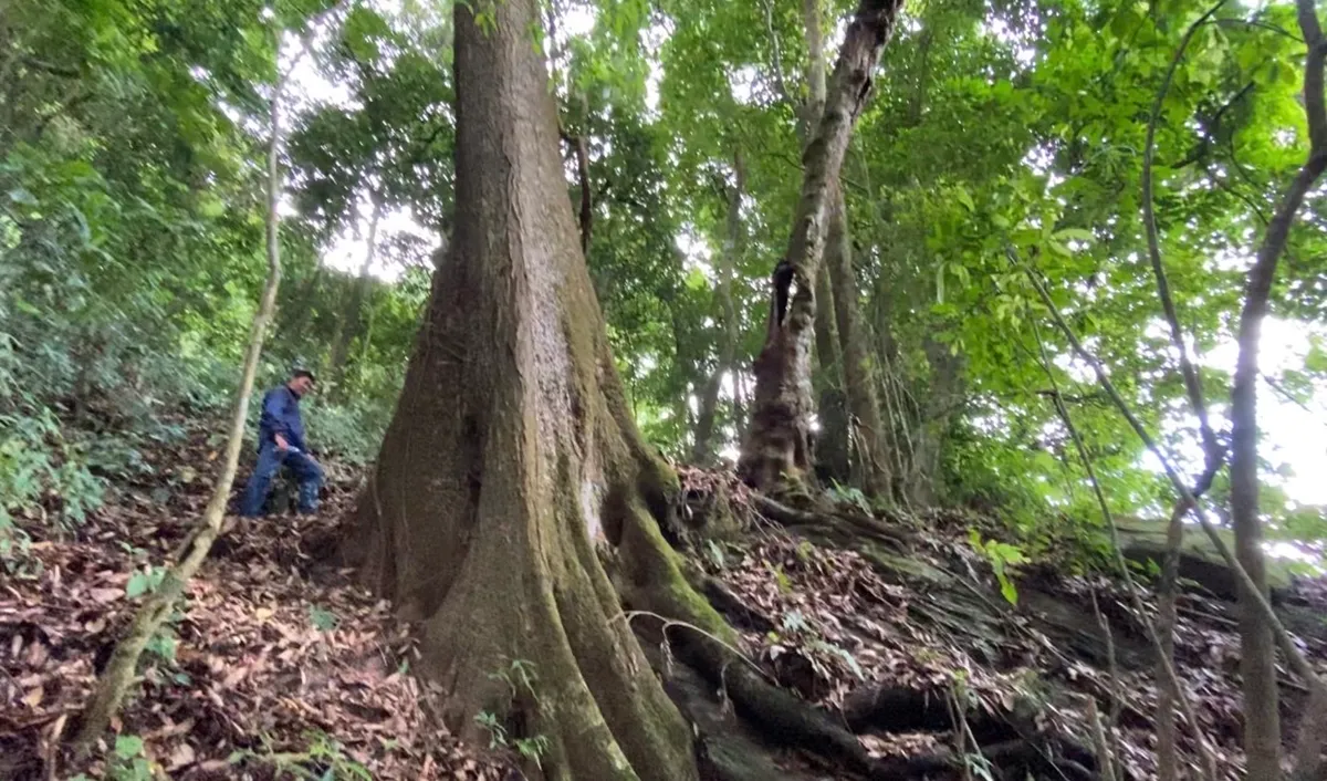 Việt Nam c&ocirc;ng bố ti&ecirc;u chuẩn mới cho du lịch mạo hiểm- Ảnh 2.