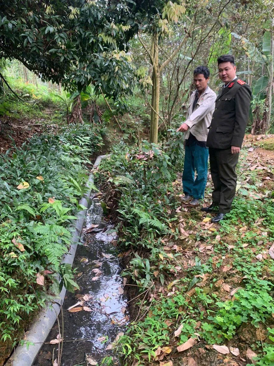 Ph&uacute; Thọ: Cơ sở chăn nu&ocirc;i xả thải g&acirc;y &ocirc; nhiễm m&ocirc;i trường bị phạt 107 triệu đồng - Ảnh 1.