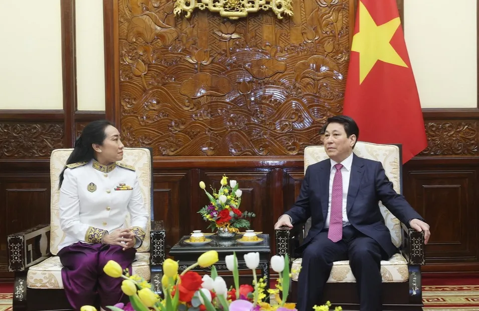 Chủ tịch nước Lương Cường tiếp đại sứ c&aacute;c nước tr&igrave;nh Quốc thư - Ảnh 2.