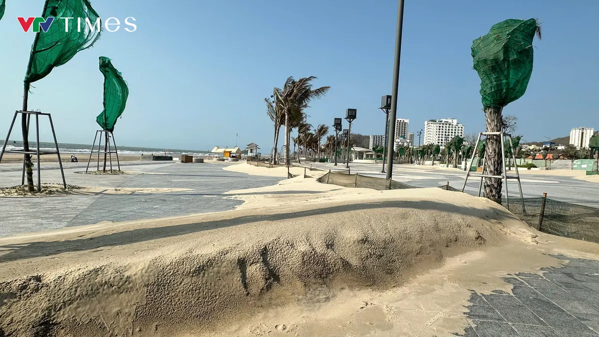 Gi&oacute; chướng thổi mạnh, c&aacute;t biển phủ k&iacute;n B&atilde;i Sau ở TP Hồ Ch&iacute; Minh- Ảnh 1.