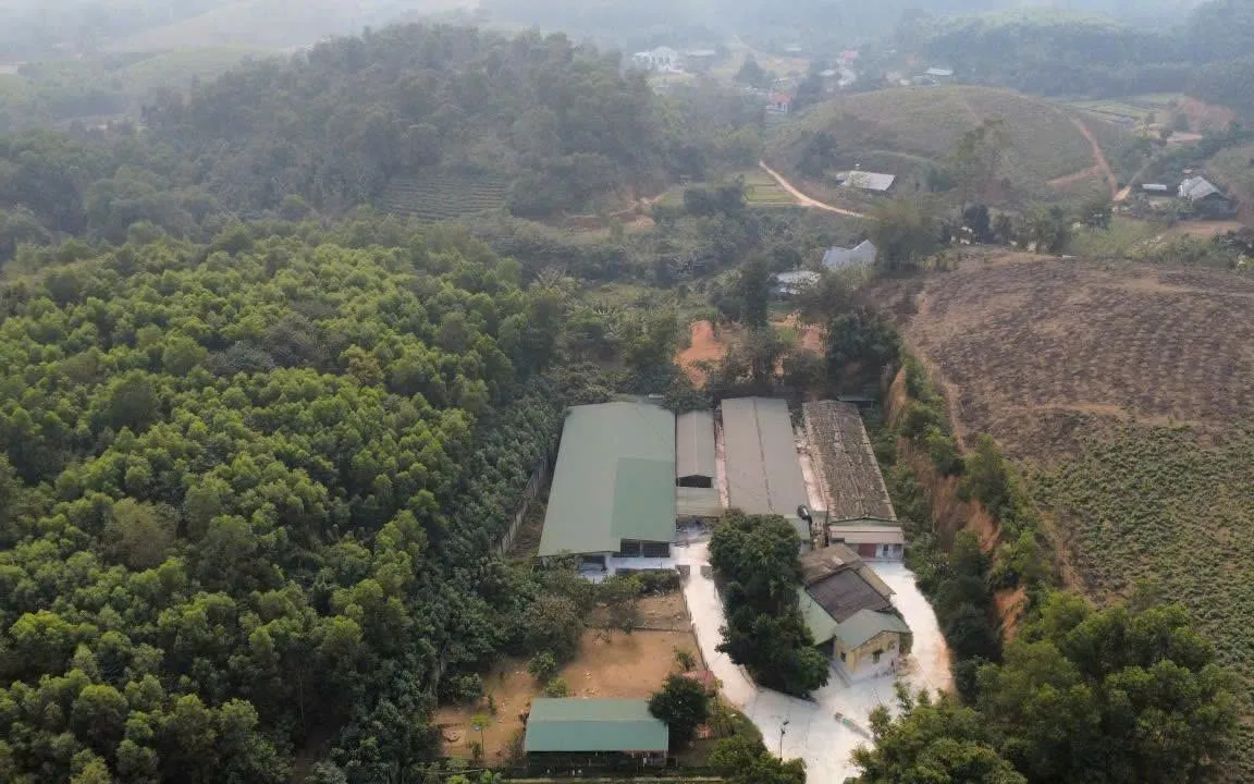 Cơ sở chăn nuôi xả thải gây ô nhiễm môi trường bị phạt 107 triệu đồng.