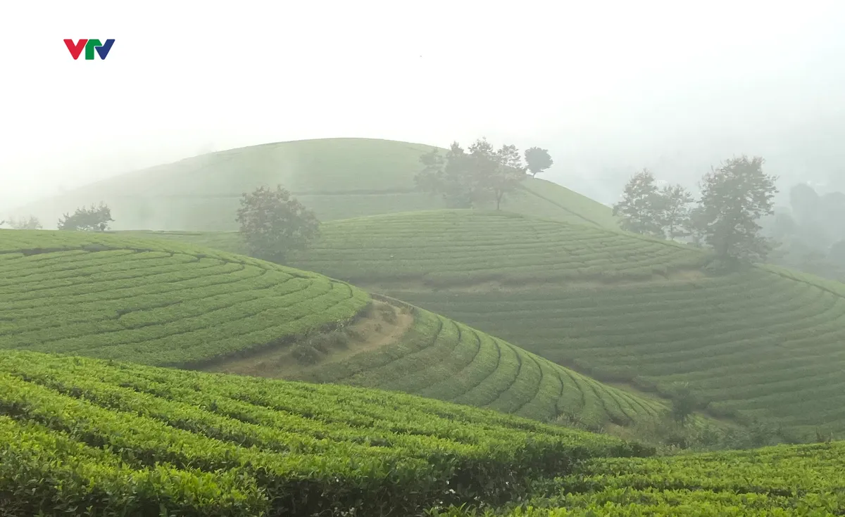 Ph&uacute; Thọ: Đ&aacute;nh thức tiềm năng du lịch &ldquo;Kết nối miền di sản - trải nghiệm đa sắc&rdquo; - Ảnh 1.