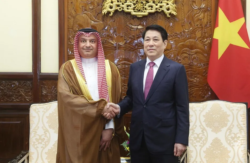 Chủ tịch nước Lương Cường tiếp đại sứ c&aacute;c nước tr&igrave;nh Quốc thư - Ảnh 3.