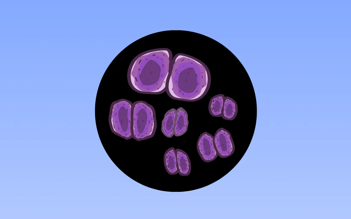 Hình minh họa: Totok Haryanto"s Images