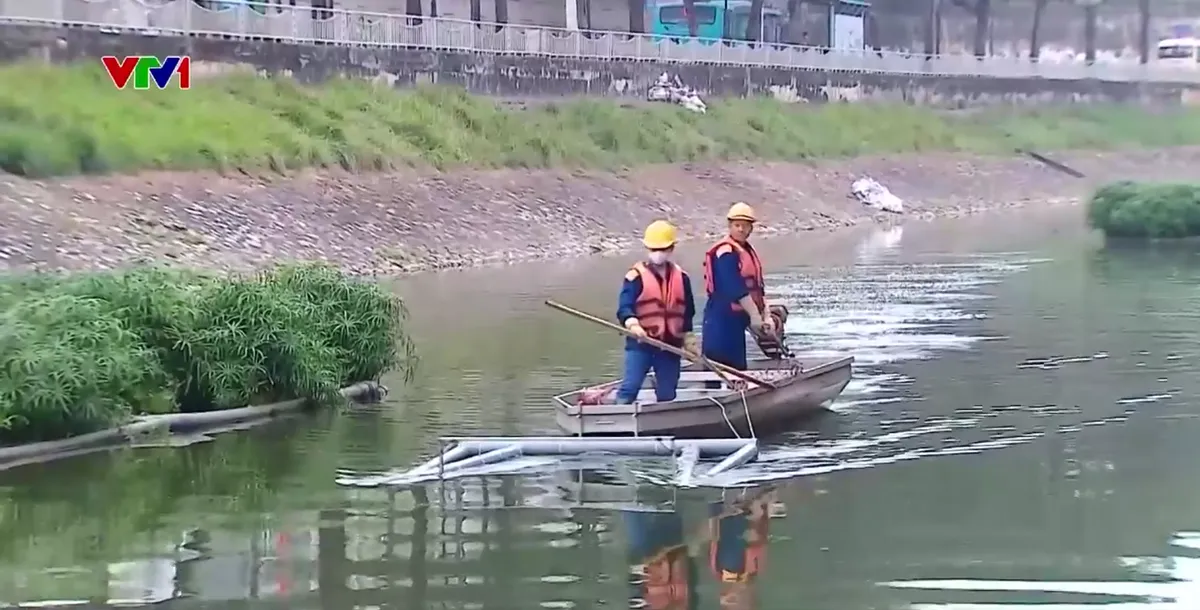 S&ocirc;ng T&ocirc; Lịch lại xuất hiện m&ugrave;i h&ocirc;i - Ảnh 1.