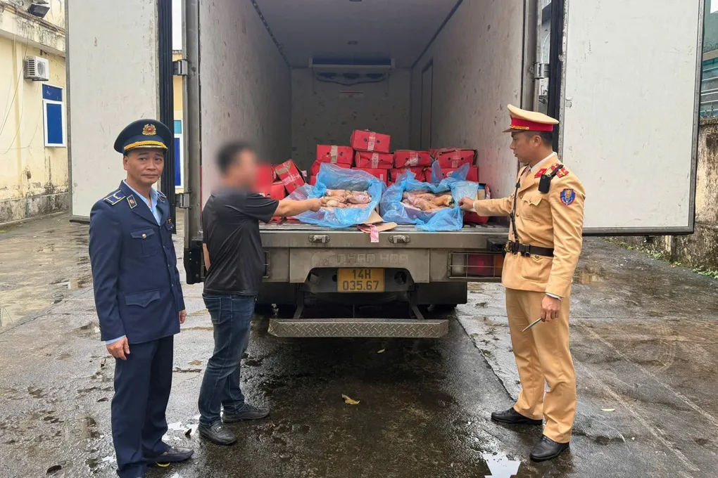 Ti&ecirc;u hủy 300kg ch&acirc;n gi&ograve; lợn đ&ocirc;ng lạnh kh&ocirc;ng r&otilde; nguồn gốc tại khu vực bi&ecirc;n giới Quảng Ninh- Ảnh 1.