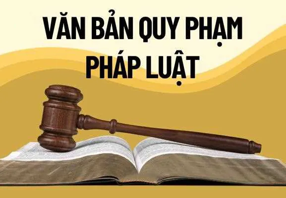 Chính phủ thống nhất Đề án tổng rà soát hệ thống văn bản quy phạm pháp luật- Ảnh 1. Chính phủ thống nhất Đề án tổng rà soát hệ thống văn bản quy phạm pháp luật- Ảnh 1.