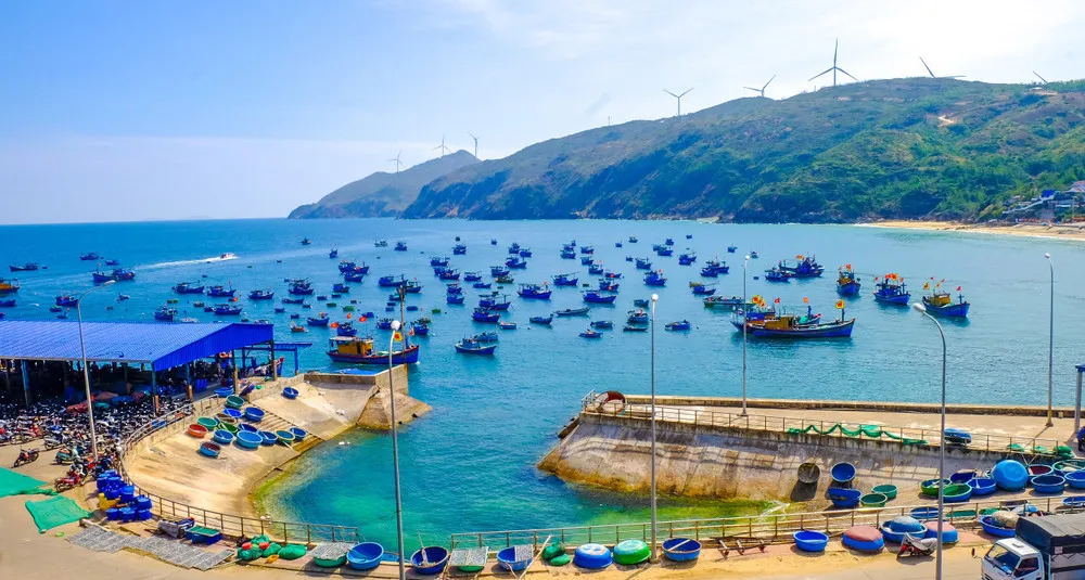 Gia Lai triển khai mô hình cảng cá kết hợp du lịch tại phường Quy Nhơn Đông- Ảnh 1. Gia Lai triển khai mô hình cảng cá kết hợp du lịch tại phường Quy Nhơn Đông- Ảnh 1.