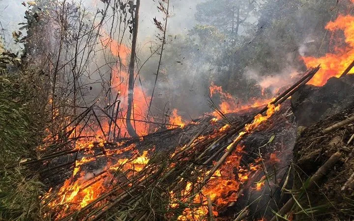 Nguy cơ cháy rừng tăng cao tại Sóc Sơn: Lực lượng chức năng tăng cường phòng chống