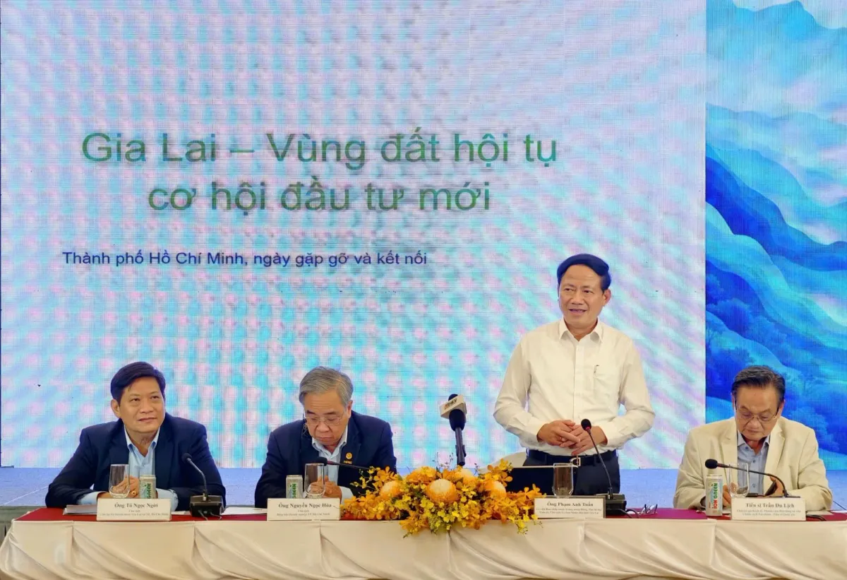 Gia Lai thu h&uacute;t đầu tư: Khi Chủ tịch tỉnh l&agrave;m tổ trưởng giải quyết thủ tục h&agrave;nh ch&iacute;nh - Ảnh 1.