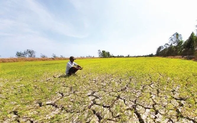 Dự báo tăng cao xâm nhập mặn ở Đồng bằng sông Cửu Long: Người dân cần chủ động ứng phó