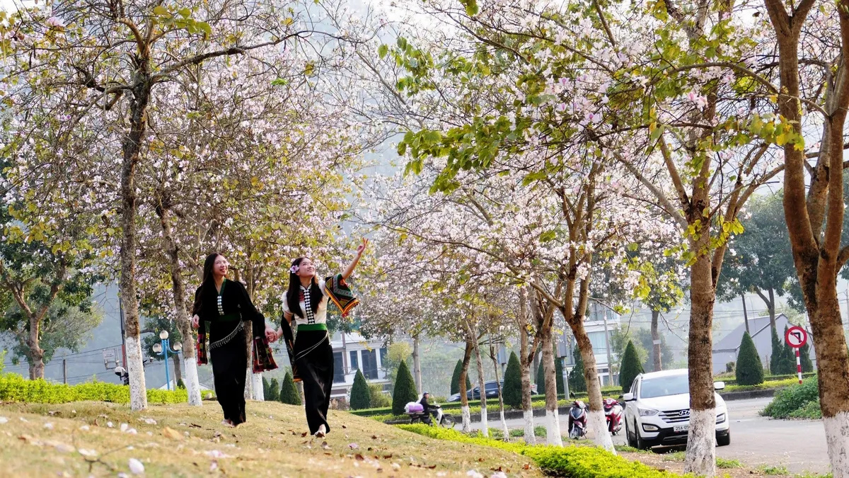 Lai Ch&acirc;u m&ugrave;a hoa xu&acirc;n: Bản h&ograve;a ca sắc m&agrave;u giữa n&uacute;i rừng T&acirc;y Bắc- Ảnh 1.