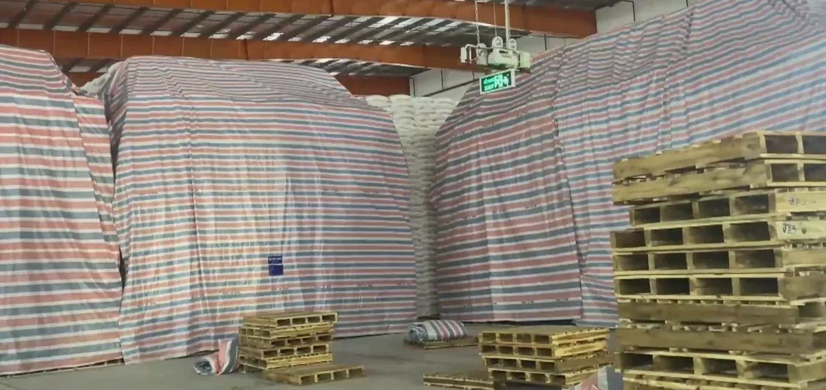 Giá mía giảm sâu kỷ lục vì đường không tiêu thụ được- Ảnh 2. Giá mía giảm sâu kỷ lục vì đường không tiêu thụ được- Ảnh 2.