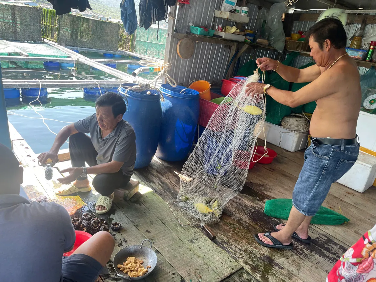 Chuyện về những người giữ biển v&agrave; vẻ đẹp nguy&ecirc;n sơ tr&ecirc;n đảo B&igrave;nh Hưng ng&agrave;y nắng mới- Ảnh 7.