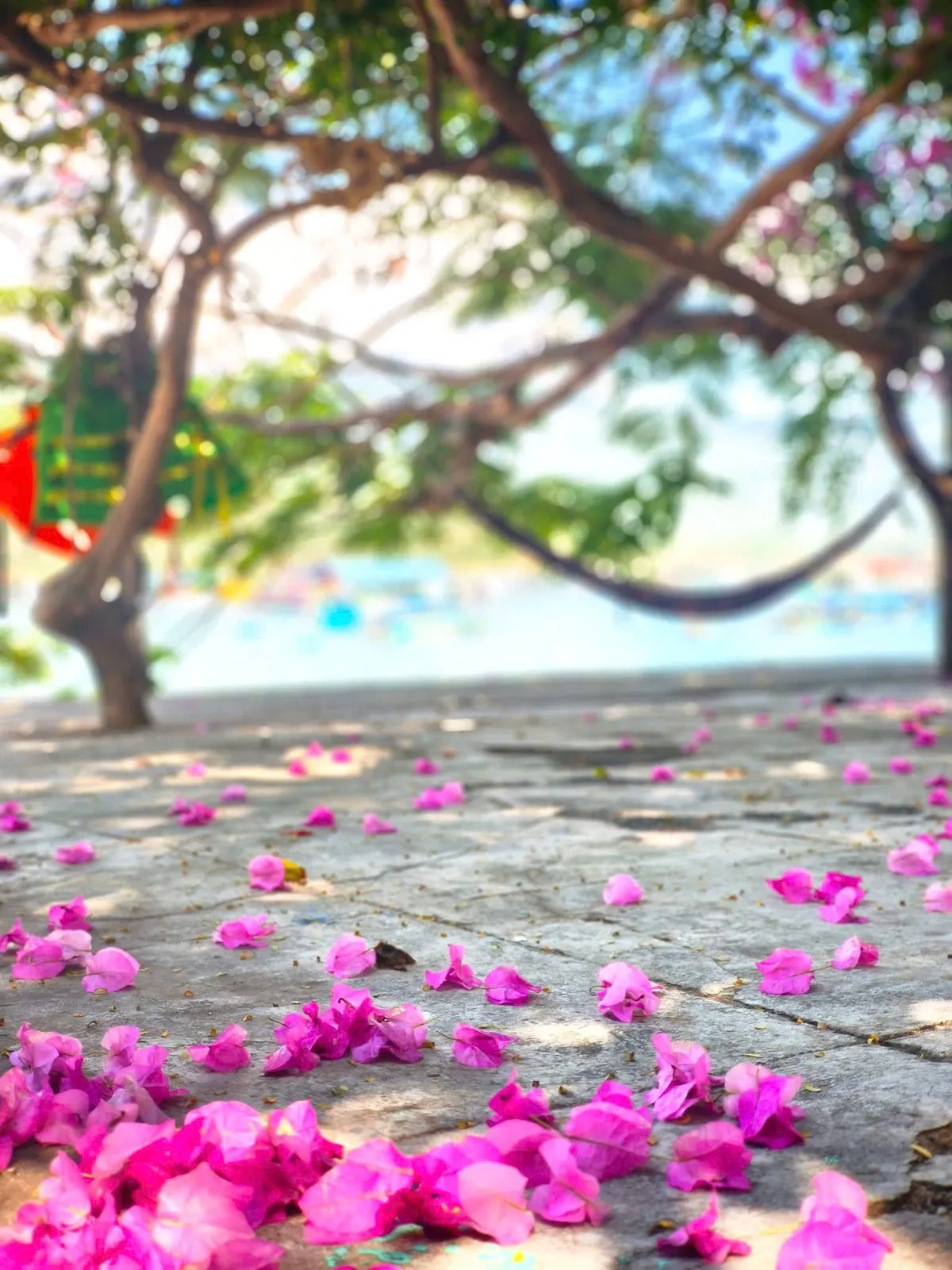 Chuyện về những người giữ biển v&agrave; vẻ đẹp nguy&ecirc;n sơ tr&ecirc;n đảo B&igrave;nh Hưng ng&agrave;y nắng mới- Ảnh 20.