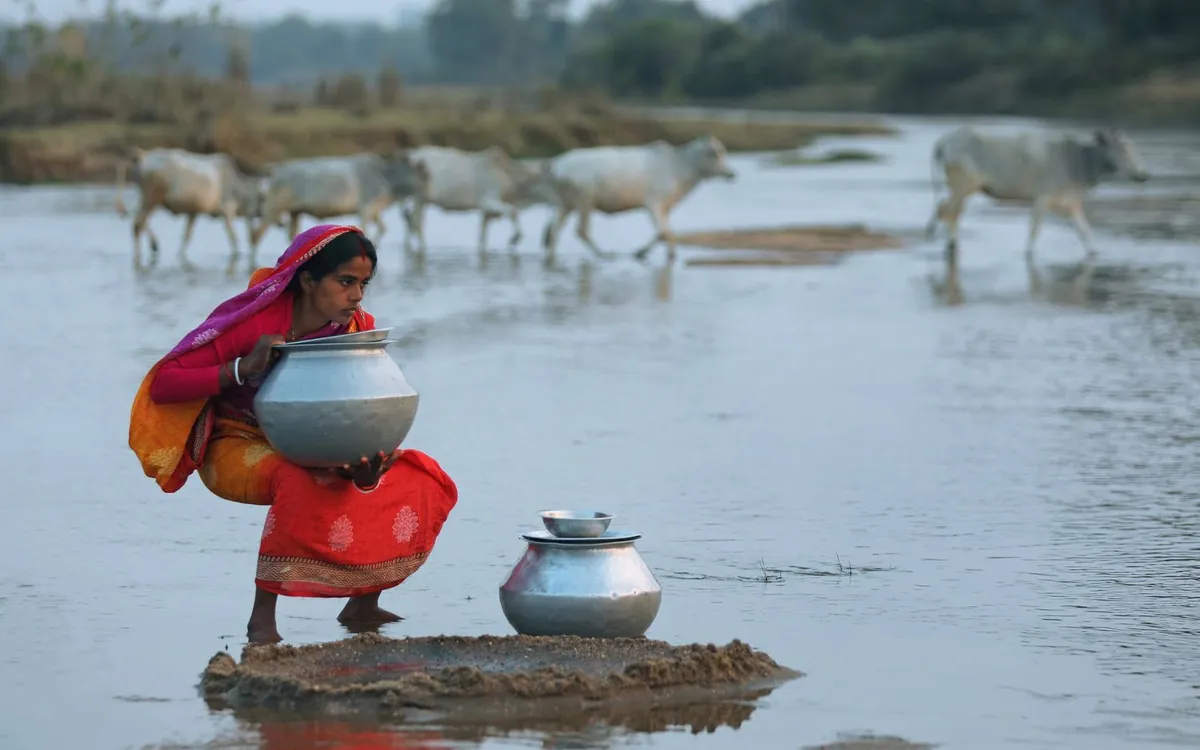 (Ảnh minh họa: Getty Images)