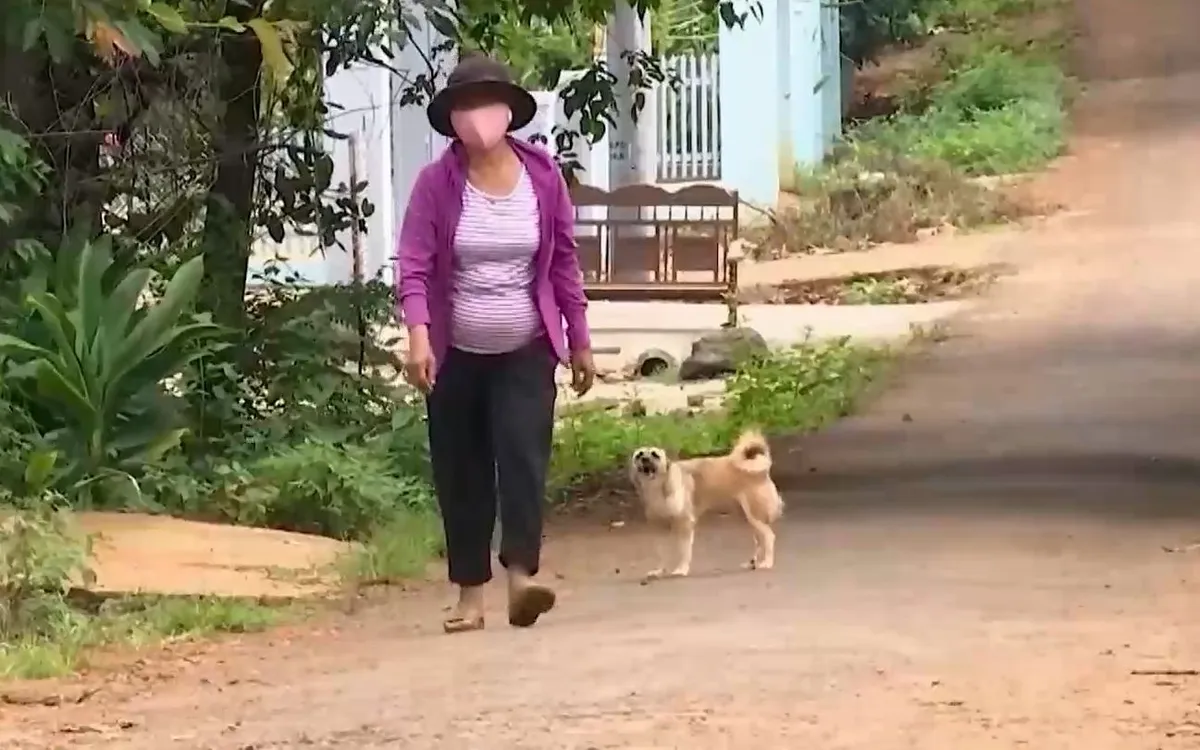 Đắk Lắk b&aacute;o động ph&ograve;ng chống bệnh dại- Ảnh 3.