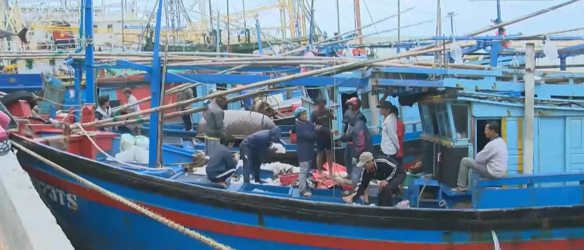 Ngư d&acirc;n nỗ lực b&aacute;m biển- Ảnh 1.