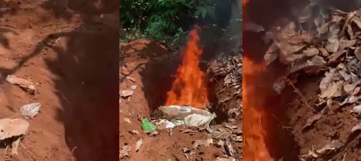 Đắk Lắk b&aacute;o động ph&ograve;ng chống bệnh dại- Ảnh 2.