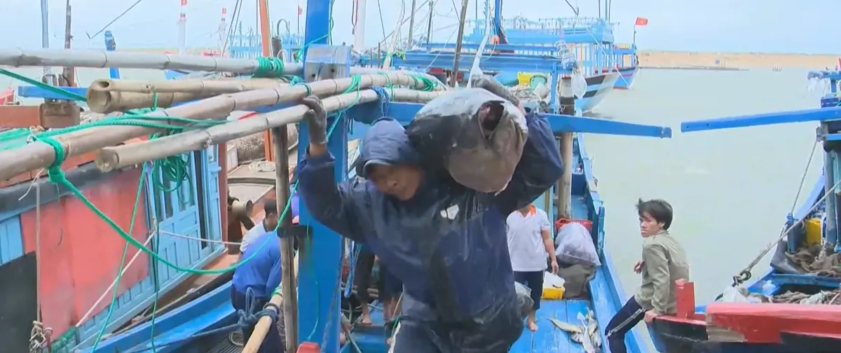 Ngư d&acirc;n nỗ lực b&aacute;m biển- Ảnh 2.