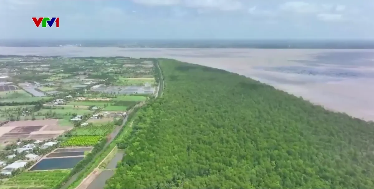 Trữ nước ứng phó hạn mặn: Giải pháp chủ động của nhà vườn - Ảnh 1.