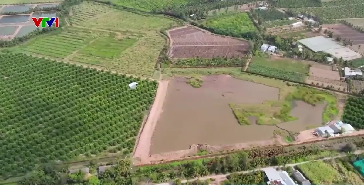 Trữ nước ứng phó hạn mặn: Giải pháp chủ động của nhà vườn - Ảnh 2.