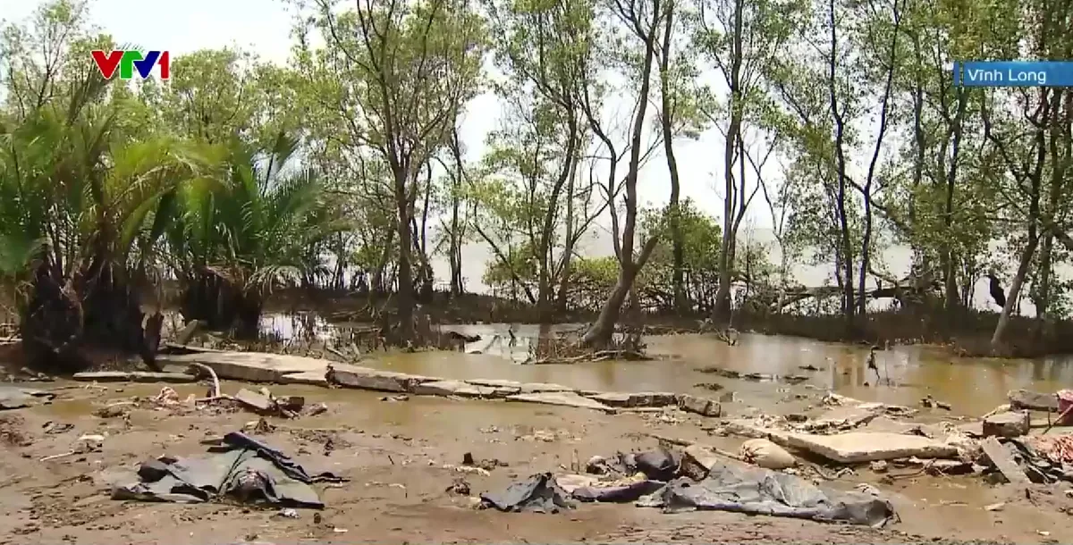 Khẩn trương ứng ph&oacute; sạt lở bờ biển  - Ảnh 2.