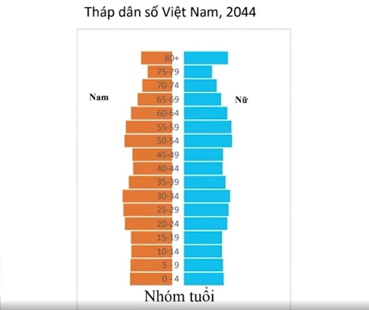 Một số điểm đáng chú ý trong chính sách dân số mới - Ảnh 1.