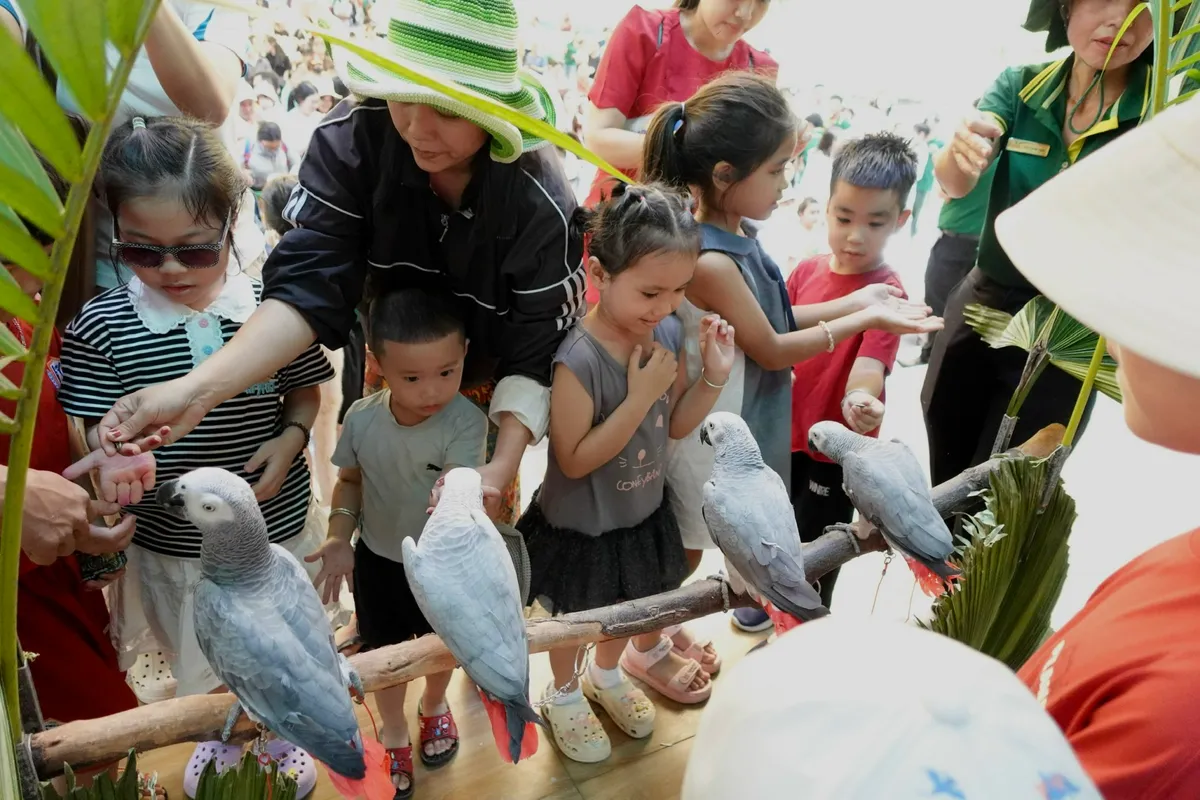 H&agrave;ng ng&agrave;n người tham dự sinh nhật 162 tuổi của Thảo Cầm Vi&ecirc;n S&agrave;i G&ograve;n- Ảnh 5.