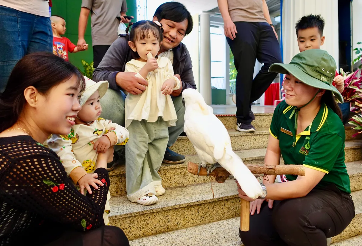 H&agrave;ng ng&agrave;n người tham dự sinh nhật 162 tuổi của Thảo Cầm Vi&ecirc;n S&agrave;i G&ograve;n- Ảnh 7.