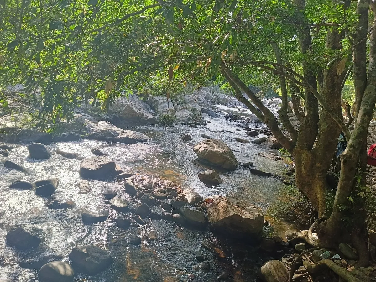 Suối Đồng Tre: Vẻ đẹp hoang sơ giữa n&uacute;i rừng Gia Lai khiến du kh&aacute;ch lưu luyến- Ảnh 1.