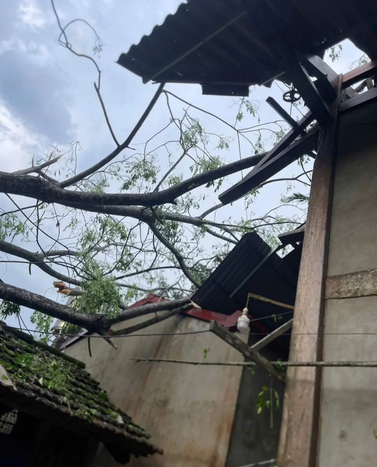 Mưa dông kèm lốc xoáy ở Lào Cai làm hàng trăm ngôi nhà bị tốc mái, 2 người bị thương - Ảnh 4.