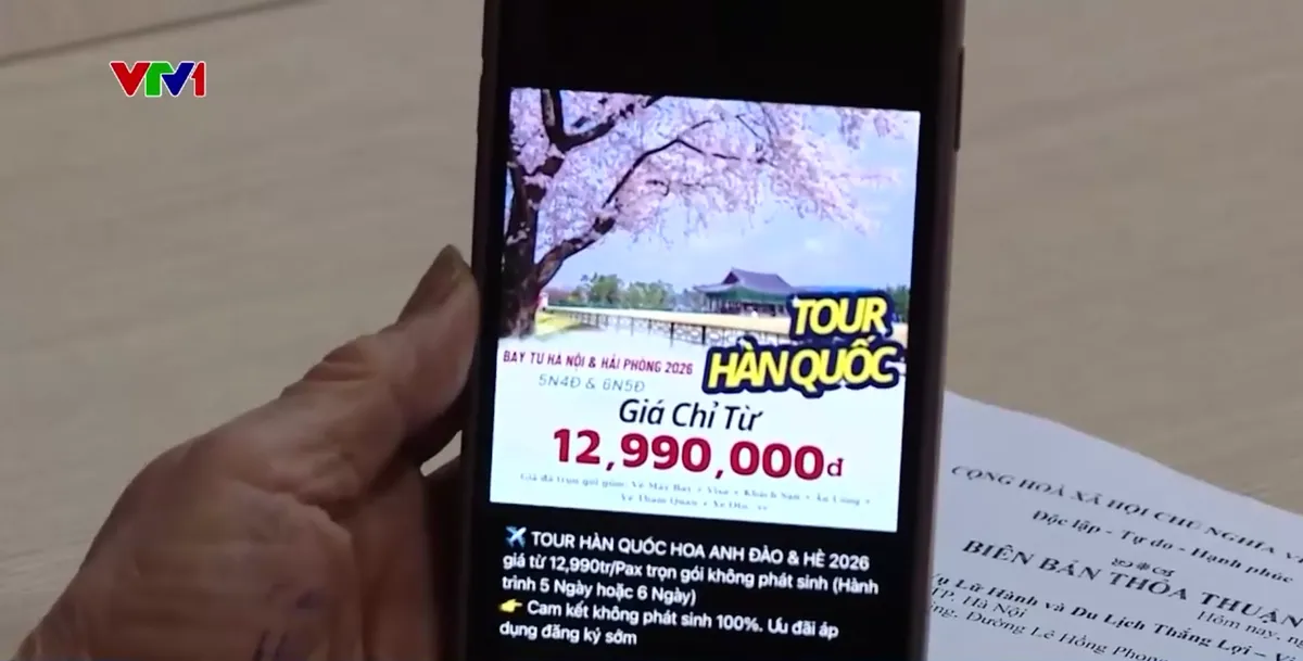 Chiếm dụng tiền đặt cọc du lịch: Nhiều khách hàng “mắc bẫy” tour giá rẻ - Ảnh 1.