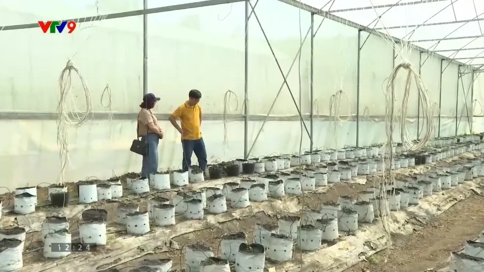 Doanh nghiệp ưu tiên sử dụng nguyên liệu tại chỗ để tiết giảm chi phí