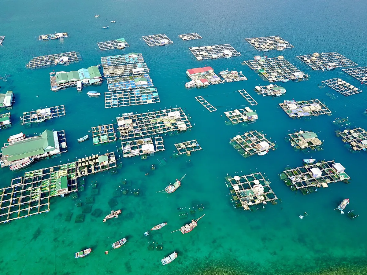 Nam Cam Ranh: Đ&aacute;nh thức "n&agrave;ng c&ocirc;ng ch&uacute;a" vịnh biển bằng kinh tế đ&ecirc;m v&agrave; du lịch bản địa- Ảnh 2.