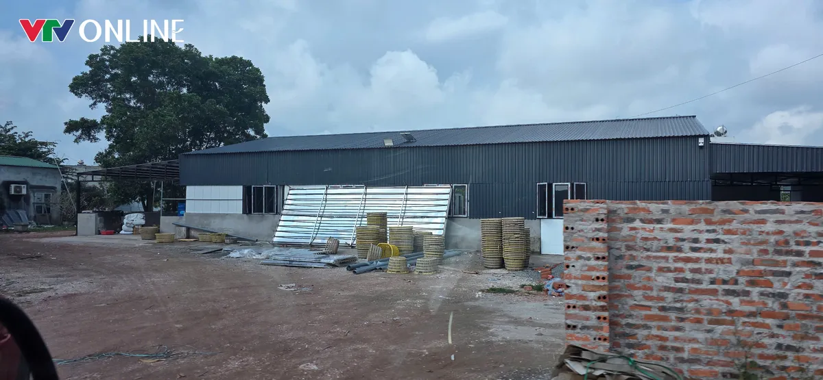 Đầm Hà (Quảng Ninh): Không thể để sinh kế đứng ngoài khuôn khổ pháp luật (Bài cuối) - Ảnh 6.