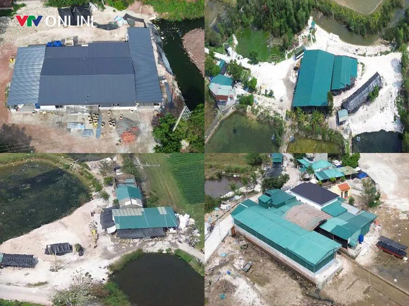 Đầm H&agrave; (Quảng Ninh): Nhiều xưởng sơ chế h&agrave;u x&acirc;y tr&ecirc;n đất n&ocirc;ng nghiệp, tiềm ẩn nguy cơ &ocirc; nhiễm (B&agrave;i 1) - Ảnh 3.