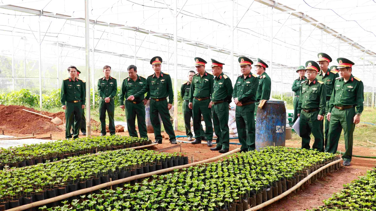 Giữ đất, giữ rừng, tạo sinh kế – Đoàn Kinh tế - Quốc phòng Quảng Sơn củng cố “thế trận lòng dân” - Ảnh 3.