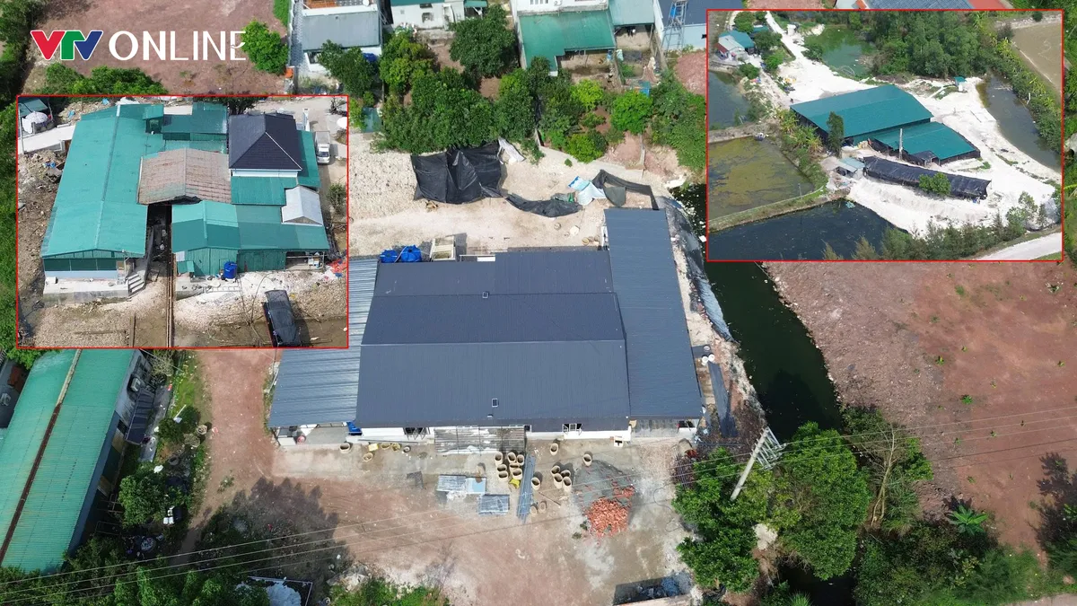 Đầm H&agrave; (Quảng Ninh): Nhiều xưởng sơ chế h&agrave;u x&acirc;y tr&ecirc;n đất n&ocirc;ng nghiệp, tiềm ẩn nguy cơ &ocirc; nhiễm (B&agrave;i 1) - Ảnh 5.