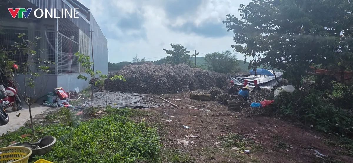 Đầm Hà (Quảng Ninh): Không thể để sinh kế đứng ngoài khuôn khổ pháp luật (Bài cuối) - Ảnh 5.